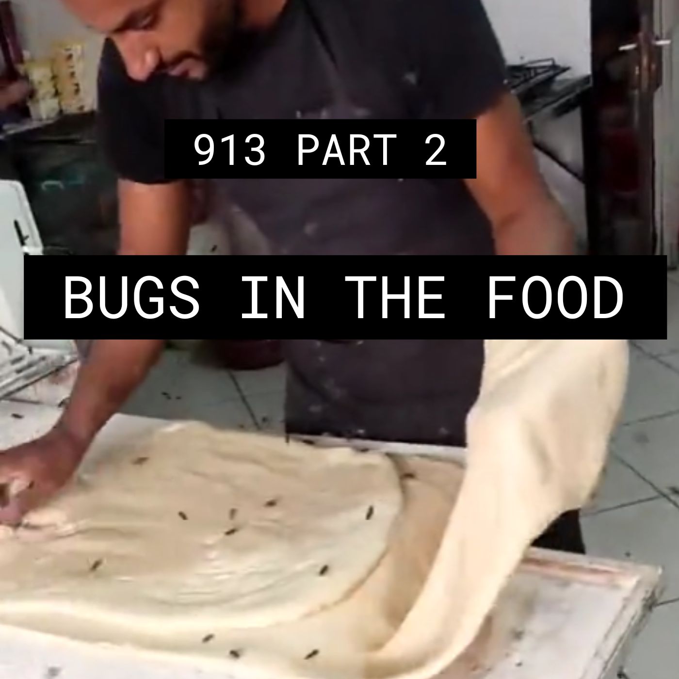 Bugs In The Food – #913 Part 2 episode artwork