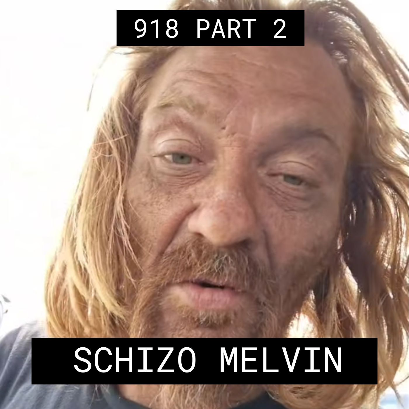 Schizo Melvin – #918 Part 2 episode artwork